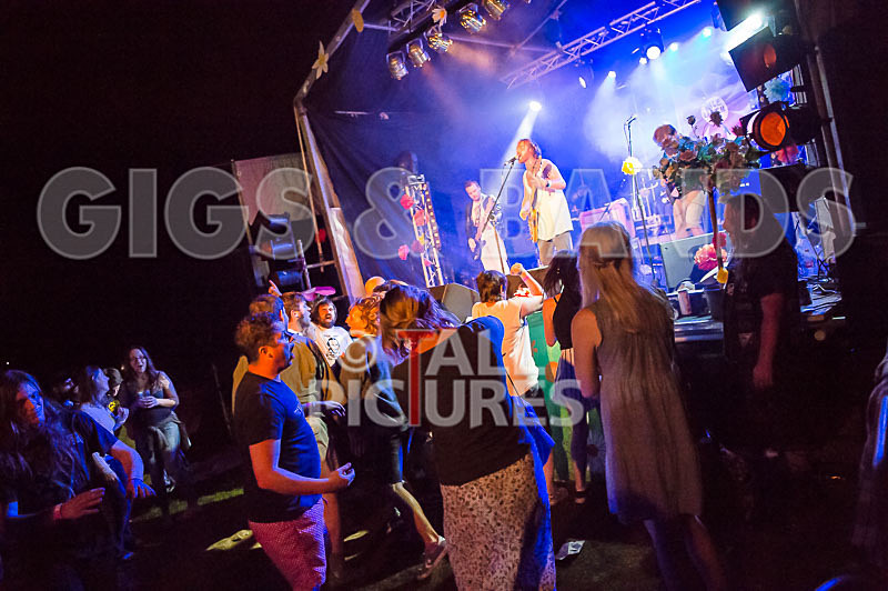 Near Bliss-77 - NEAR BLISS