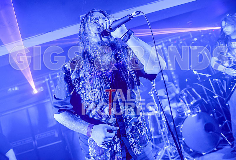 Stone Em All-228 - STONE EM ALL