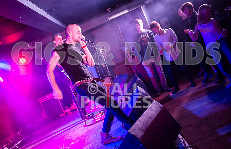 Heymoonshaker-53 - HEYMOONSHAKER