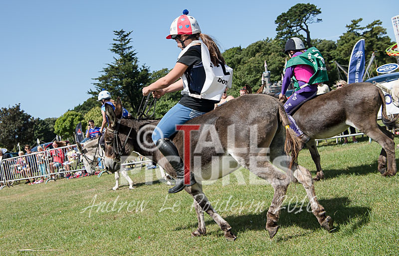 Donkey Derby_2016-11 - LIONS CLUB DONKEY DERBY 2016