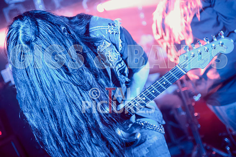 Stone Em All-208 - STONE EM ALL