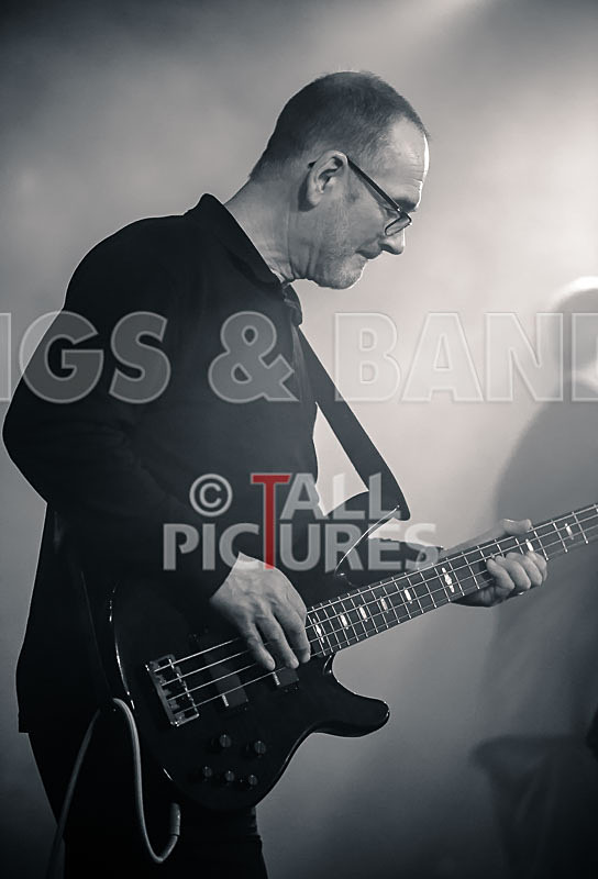 King Rat the Soul Cats-371 - KING RAT AND THE SOUL CATS