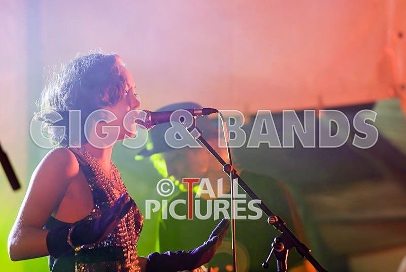 Vale-Earth-71 - VALE EARTH FAIR 2008