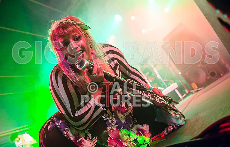 Static Alice-620 - STATIC ALICE