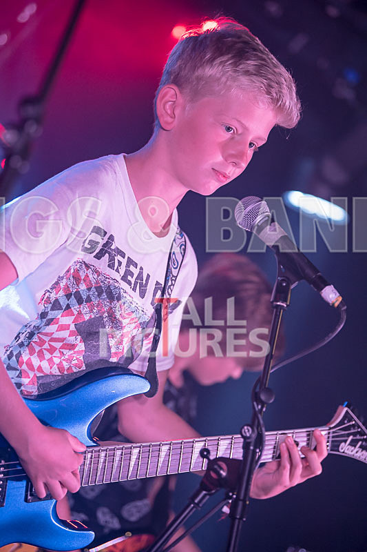 The Lemmings-13 - THE LEMMINGS