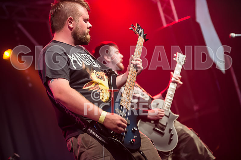 Demise of Sanity-26 - DEMISE OF SANITY