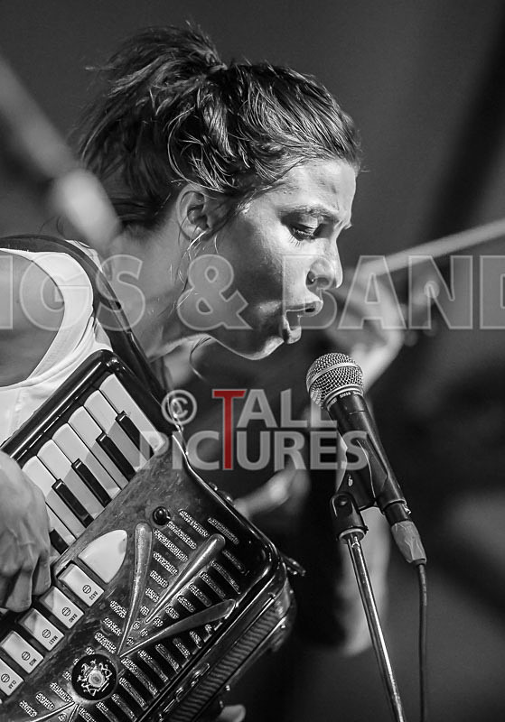 Molotov Jukebox-29 - MOLOTOV JUKEBOX