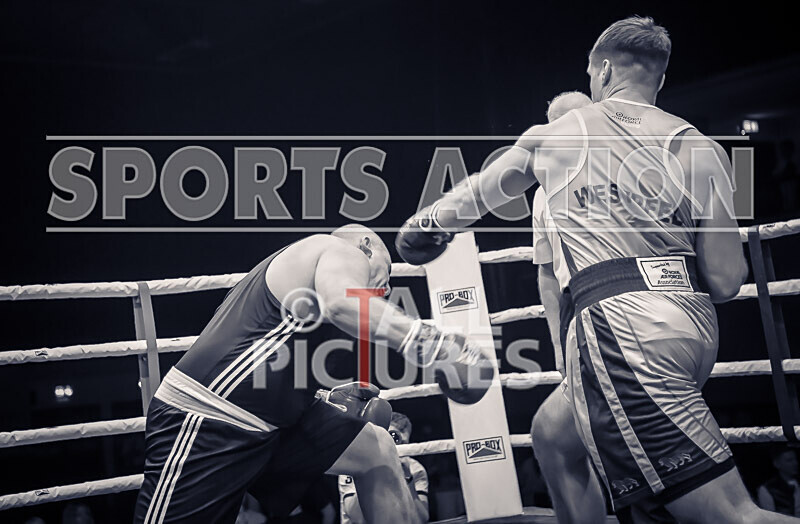 BOUT- 11 Dan Maree v George Westpfel-24 - BOUT 11: Dan Maree v George Westpfel