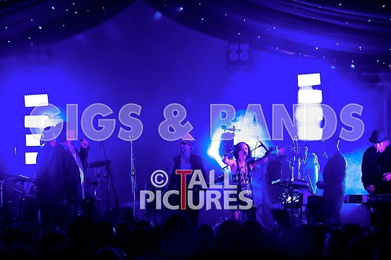 Vale-Earth-74 - VALE EARTH FAIR 2008