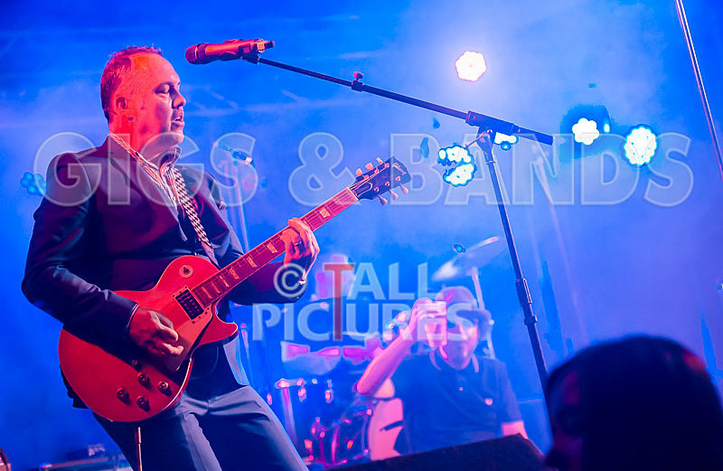 Sons of the Desert-296 - SONS OF THE DESERT