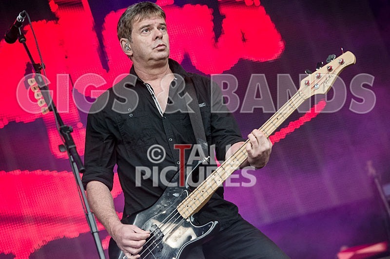 The Stranglers-40 - THE STRANGLERS