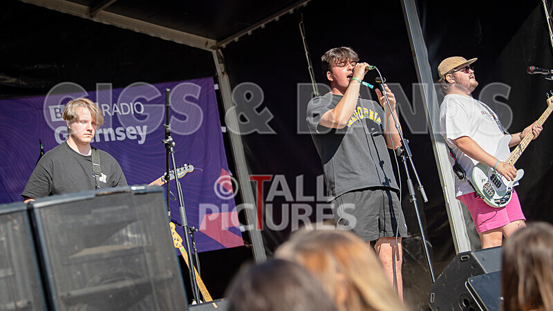 Bloomfield-15 - BLOOMFIELD