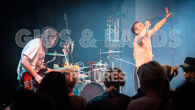 Pigsx7-87 - PIGS PIGS PIGS PIGS PIGS PIGS PIGS