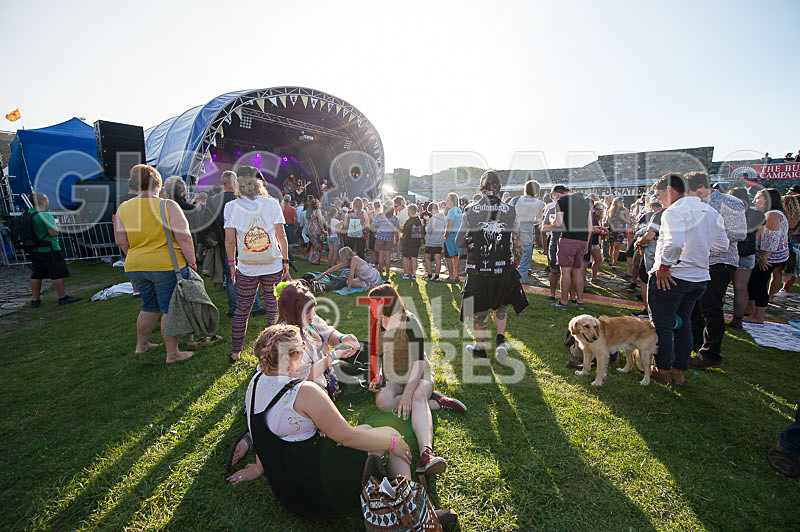 Vale Earth Fair 2017_PRESS EDIT-26 - VALE EARTH FAIR 2017_THE PRESS EDIT