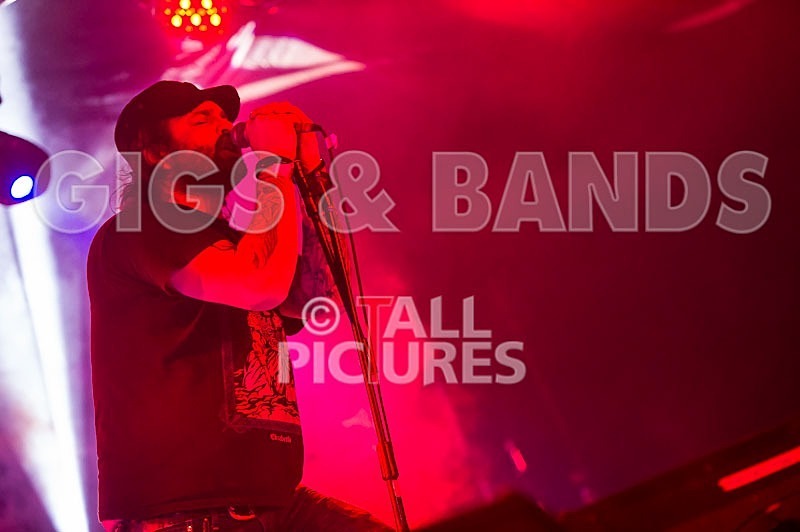 Viking Skull-23 - VIKING SKULL