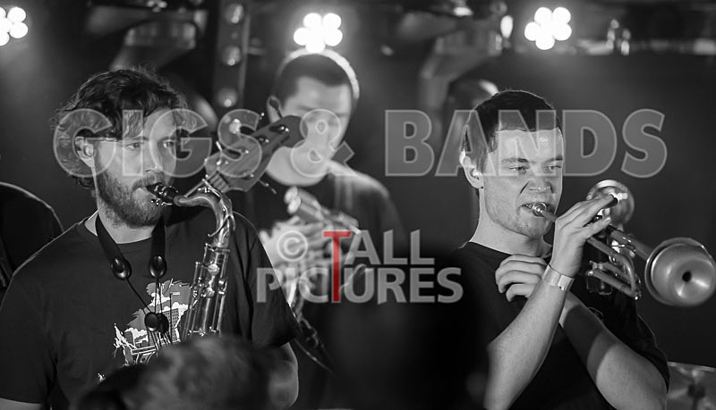 The Mouse Outfit-103 - THE MOUSE OUTFIT