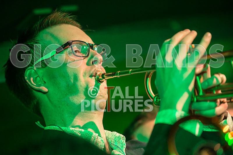 Alfie Bartons 25th Anniversary Gig-52 - ALFIE BARTON'S 25th ANNIVERSARY SPECIAL