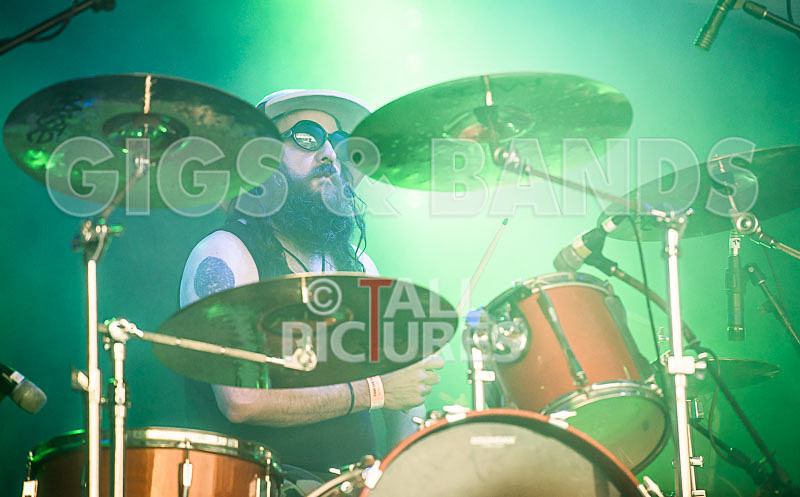 Peppered Ant Legs-263 - PEPPERED ANT LEGS