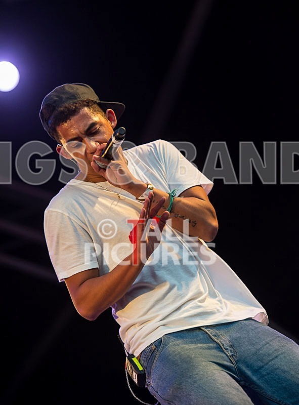 Rizzle Kicks-61 - RIZZLE KICKS