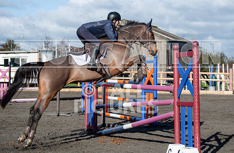 Senior Showjumping_10-11-2019-17 - BS GUERNSEY RALLY 2019-SENIORS