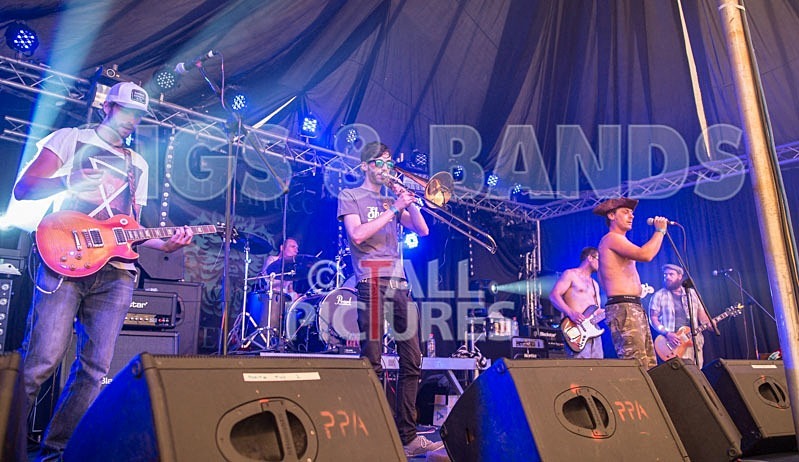 Chaos 2013_Pirate Party Brigade-16 - PIRATE PARTY BRIGADE