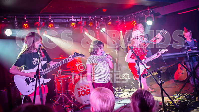 The Flaming Flamingos-23 - THE FLAMING FLAMINGOES