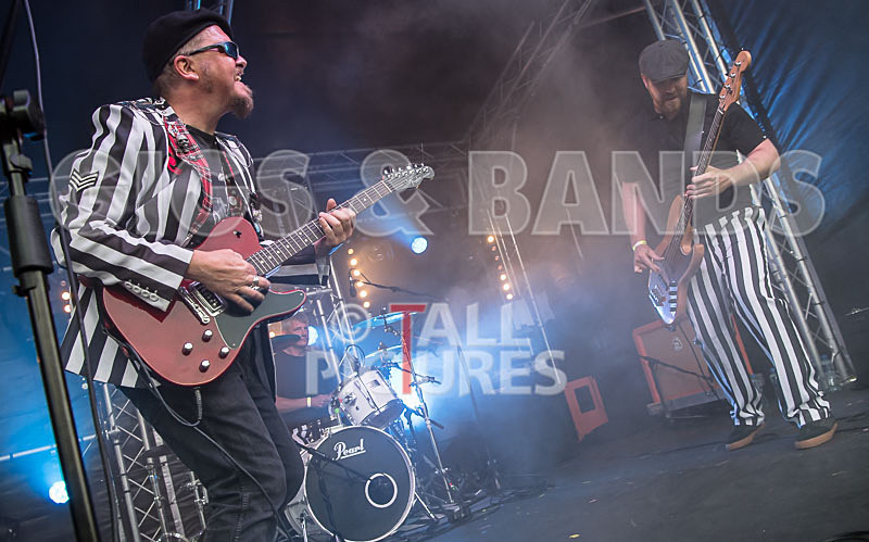 The Smooth Hounds-43 - THE SMOOTH HOUNDS