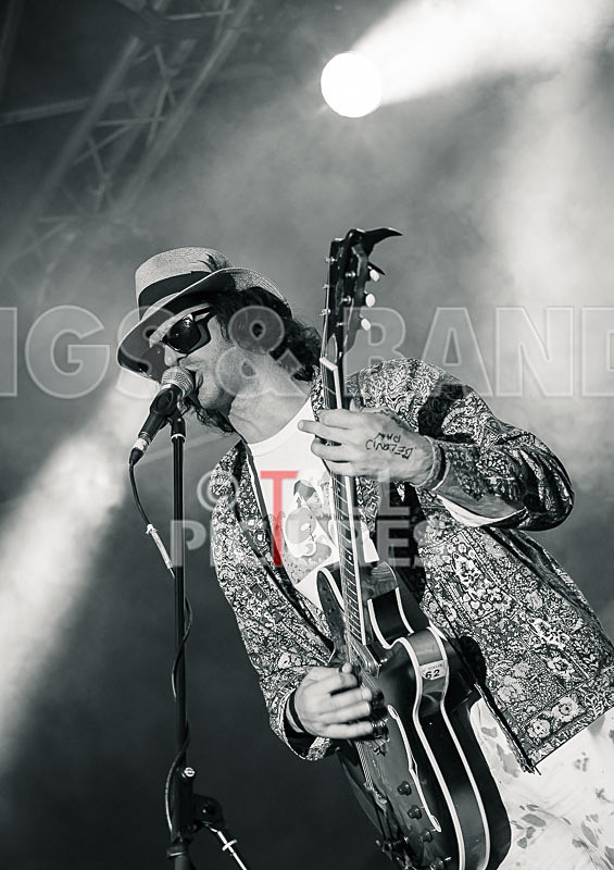 Surfin Birds-25 - SURFIN' BIRDS