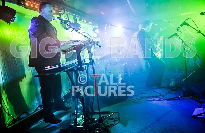 The Pulse-42 - THE PULSE