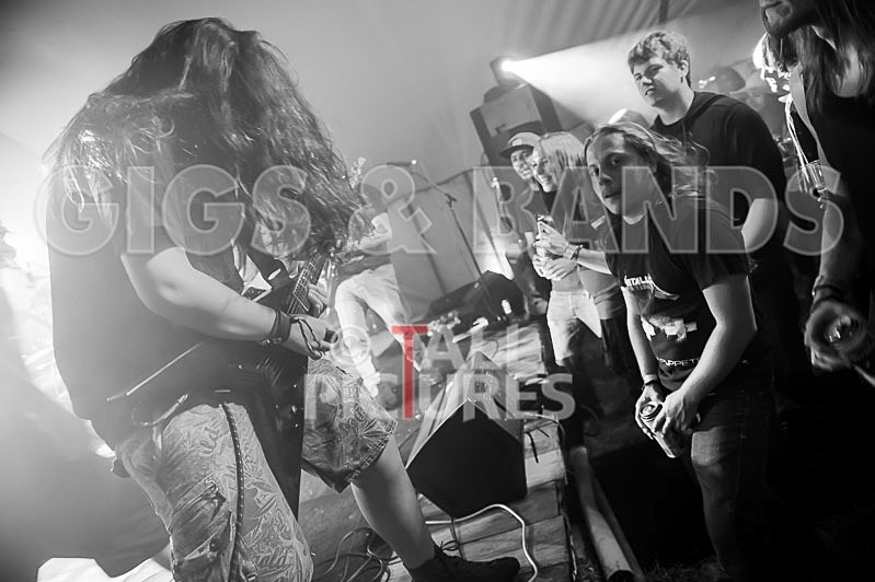 Stone Em All-60 - STONE EM ALL