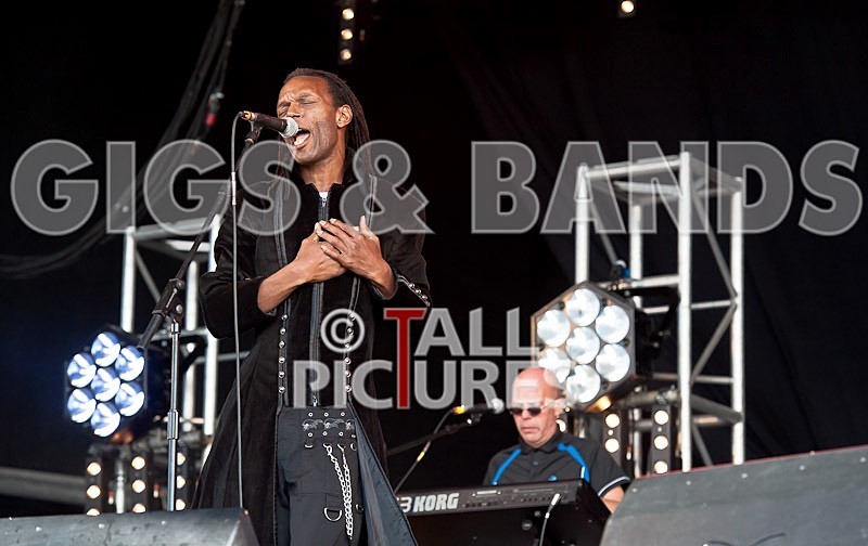 The Beat-46 - THE BEAT