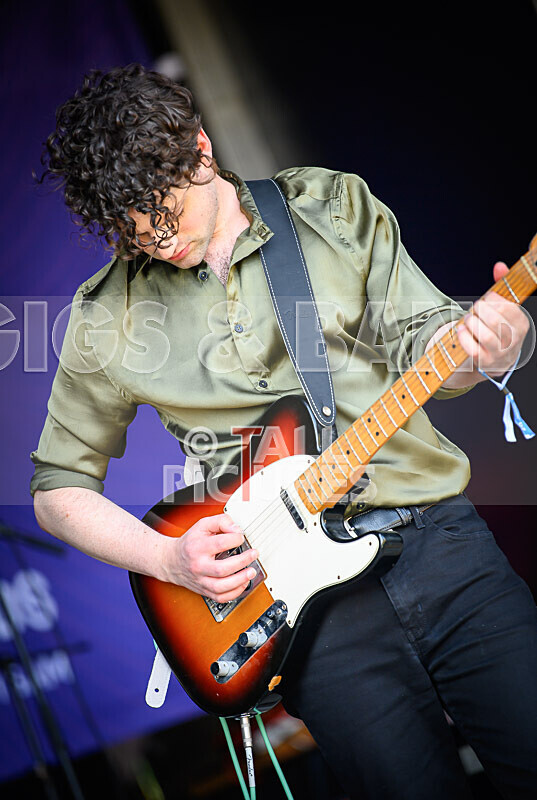 China Aster-120 - CHINA ASTER