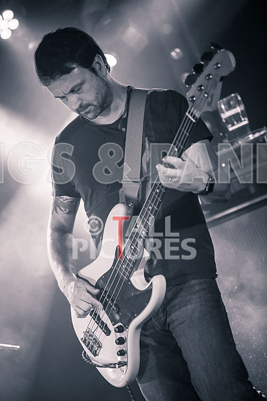 Gay Army-339 - GAY ARMY