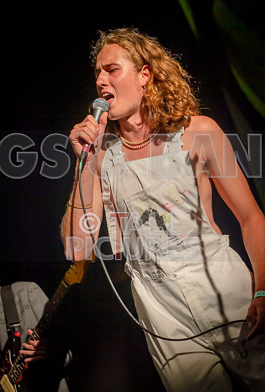 The Pips-119 - THE PIPS