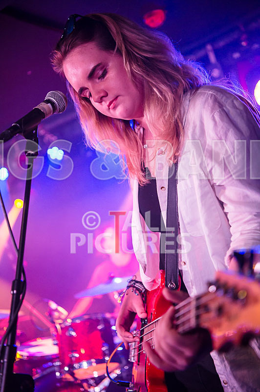 Purple Paradox-9 - PURPLE PARADOX