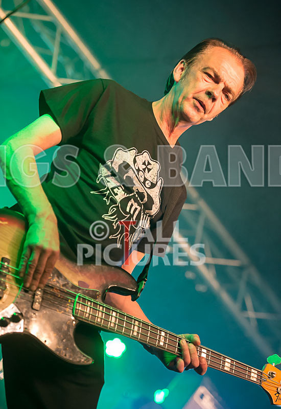 The Electric Shakes-89 - THE ELECTRIC SHAKES