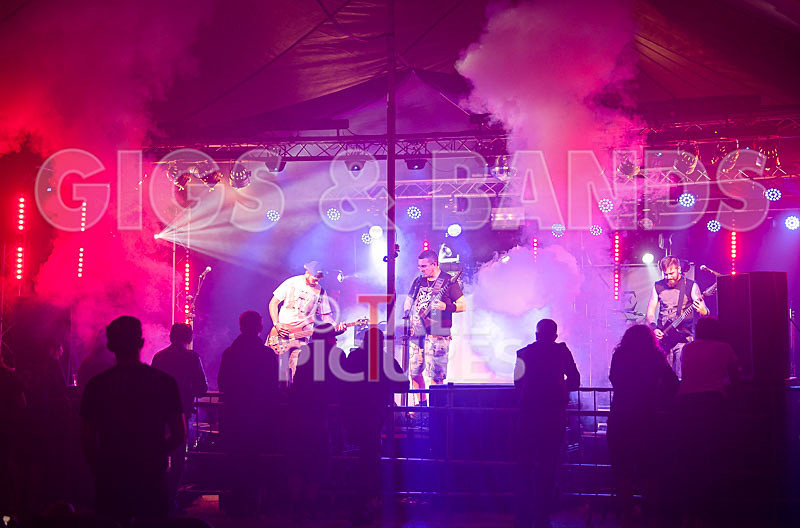 Demise of Sanity-185 - DEMISE OF SANITY