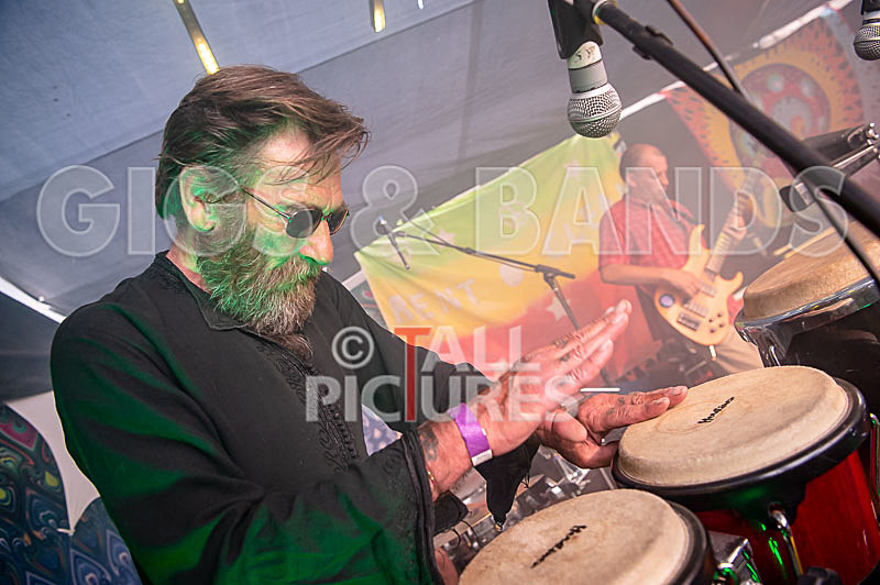 RentOClean-252 - RENTOCLEAN