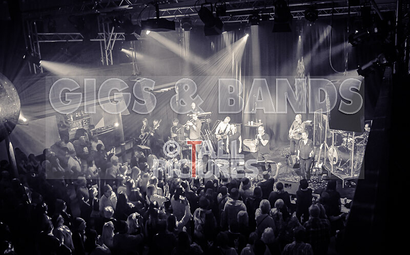 King Rat  the Soul Cats-430 - KING RAT & THE SOUL CATS