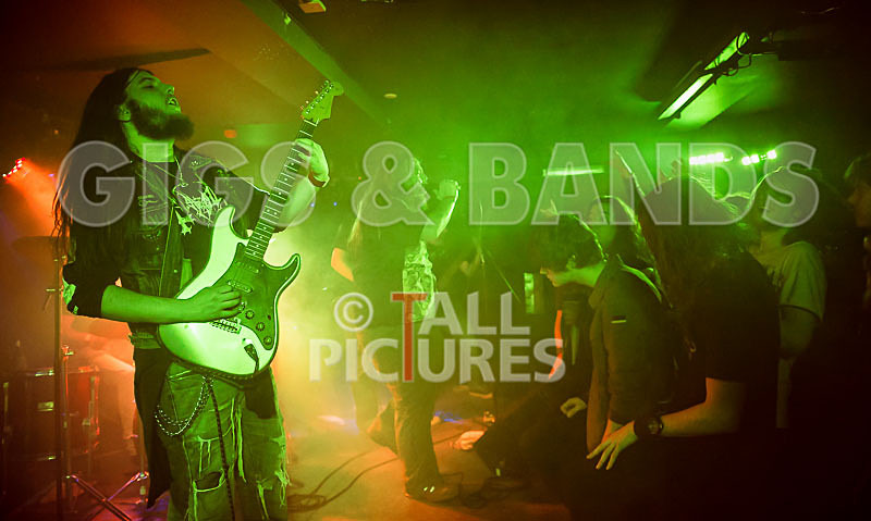 Stone Em All-192 - STONE EM ALL