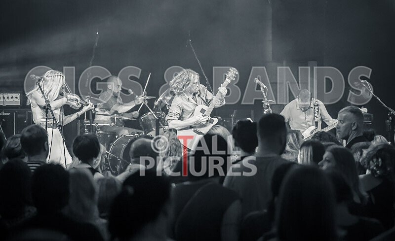 Buffalo Huddleston-612 - BUFFALO HUDDLESTON