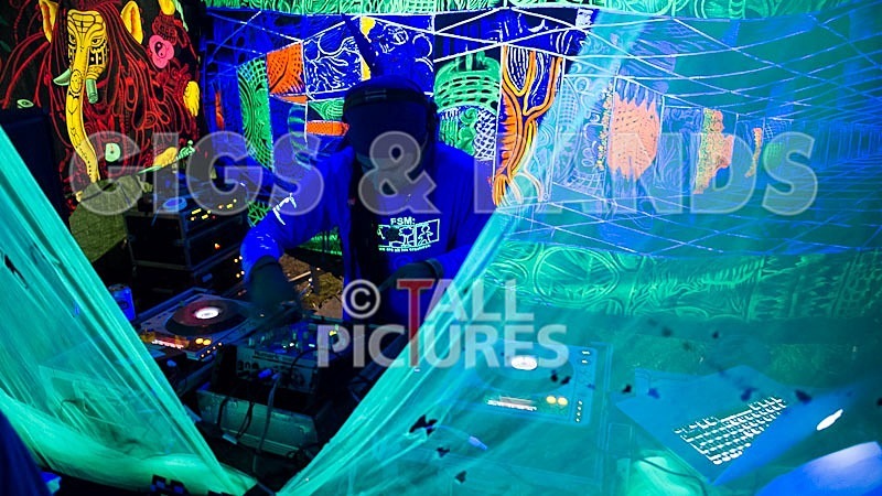 VEF_2012_Good Vibes-73 - THE GOOD VIBES....