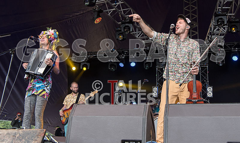 Molotov Jukebox-47 - MOLOTOV JUKEBOX