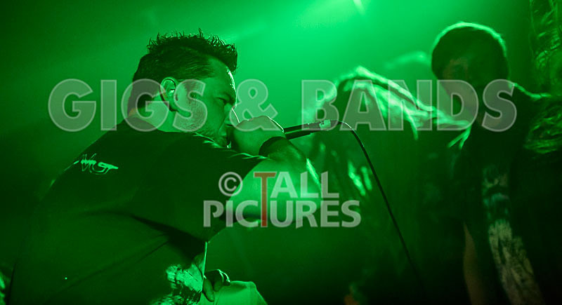 Masticated-29 - MASTICATED