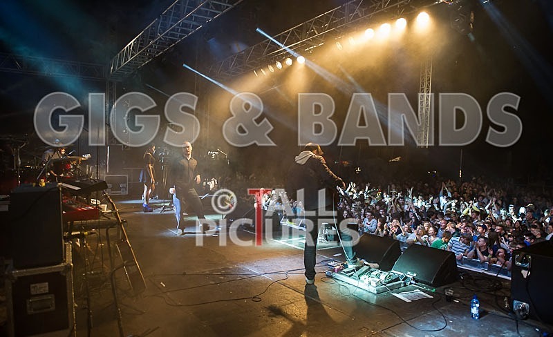 Maverick Sabre-42 - MAVERICK SABRE