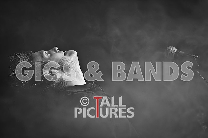 Teaspoonriverneck-44 - TEASPOONRIVERNECK at RoA-4