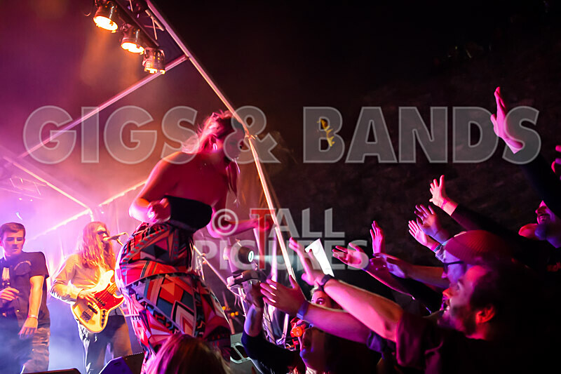 Vale Earth Fair 2020_THE SCENE-61 - VALE EARTH FAIR 2020_THE SCENE