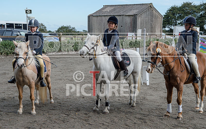 North Showjumping_2016-42 - NORTH SHOW SHOWJUMPING 2016