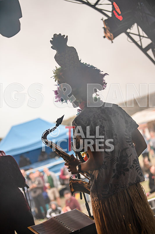 The Crack-76 - THE CRACK