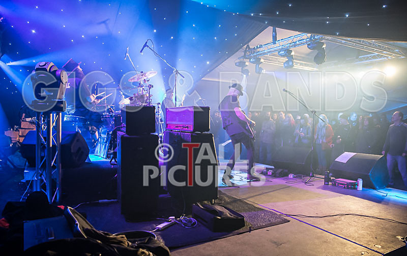 Peppered Ant Legs-153 - PEPPERED ANT LEGS